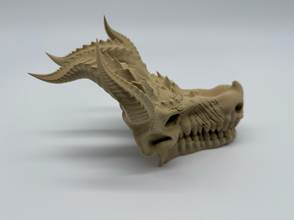 Crâne de dragon - Qualité supérieure
