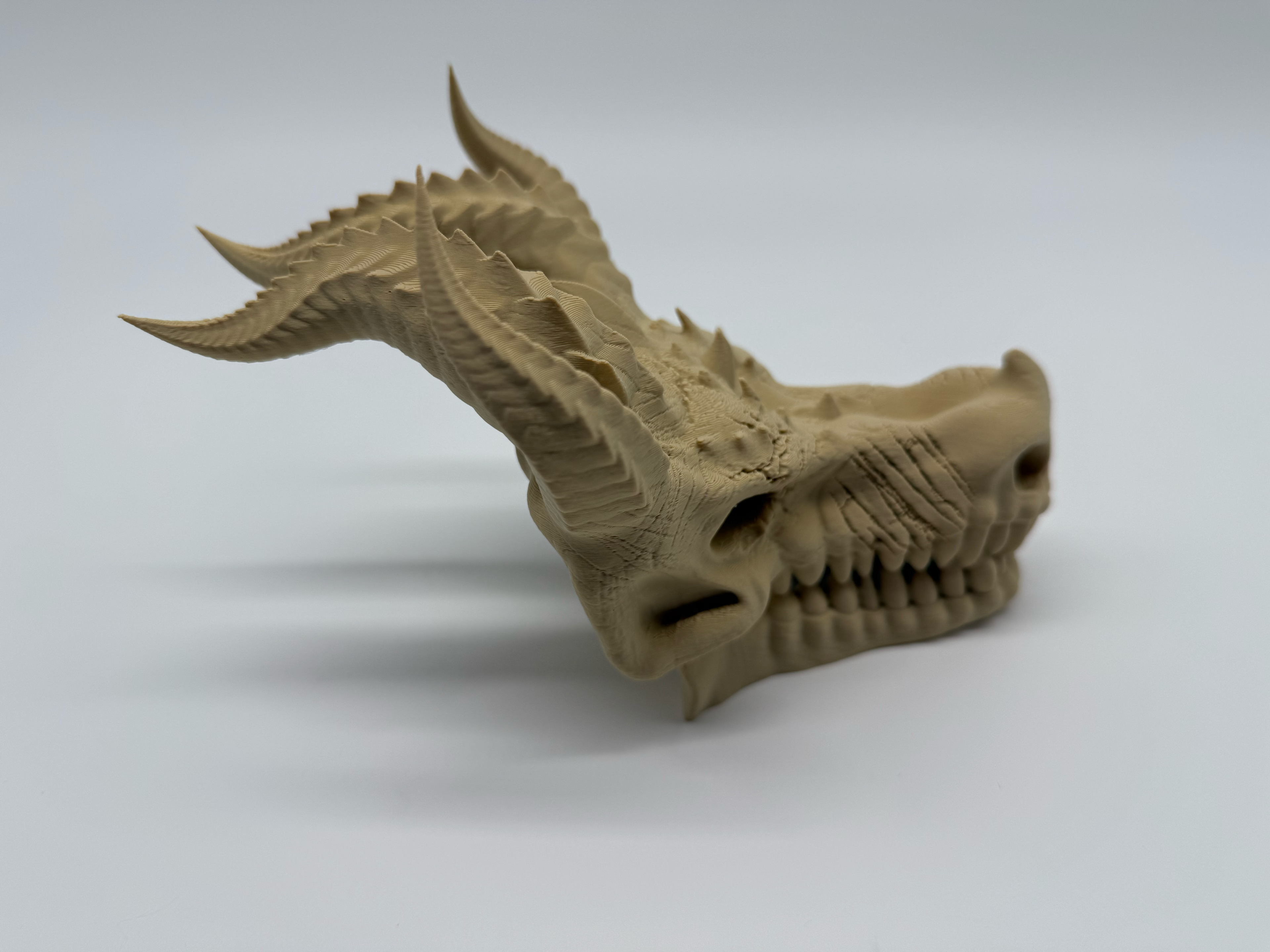 Crâne de dragon - Qualité supérieure